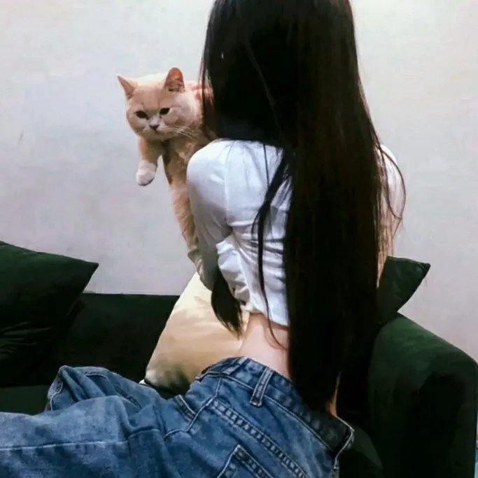 宝贝训练营